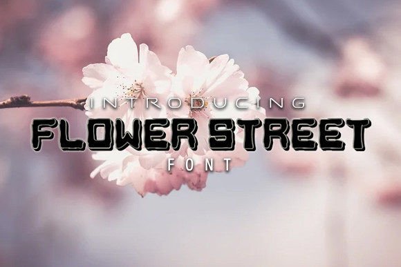 Flower Street: A Display Font for Editorial Design